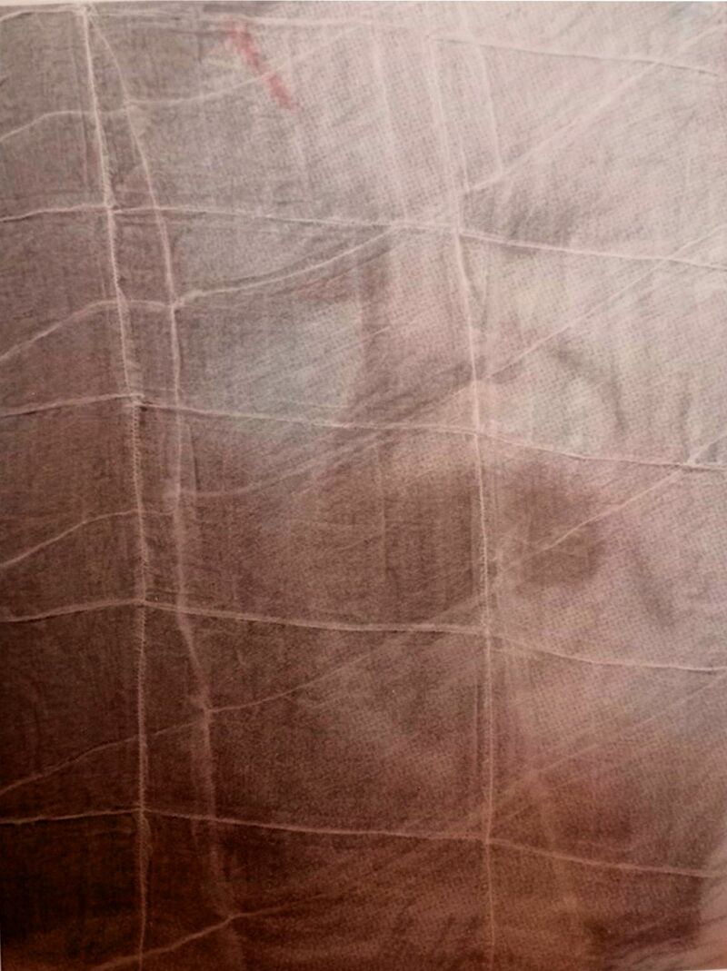 Trasfigurazione, ultimo grido. - a Paintings by Elia Li Gioi
