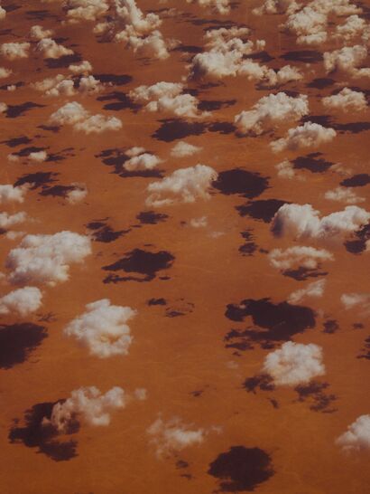 Flocks - a Photographic Art Artowrk by Beatrice Olimpia Bonato