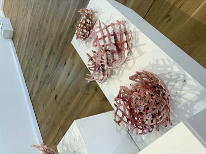 Hidden Trauma  - a Sculpture & Installation Artowrk by Robyn  Fuerst