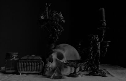 Dead or Alive  - A Photographic Art Artwork by Angelica Pagliardini 