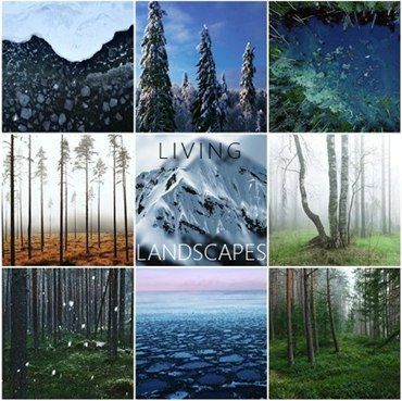 Living Landscapes Collection - a Video Art by Yaroslav Bulavin