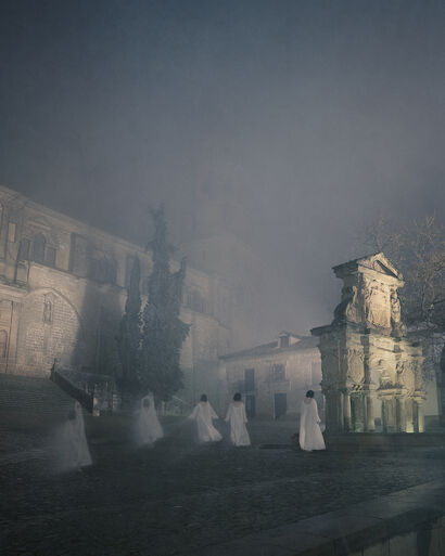 Fading Queen - a Photographic Art Artowrk by Izaskun Valmaseda
