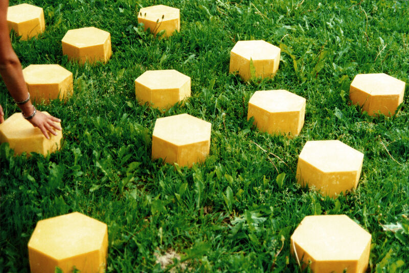 Celle - a Sculpture & Installation by chiara destro