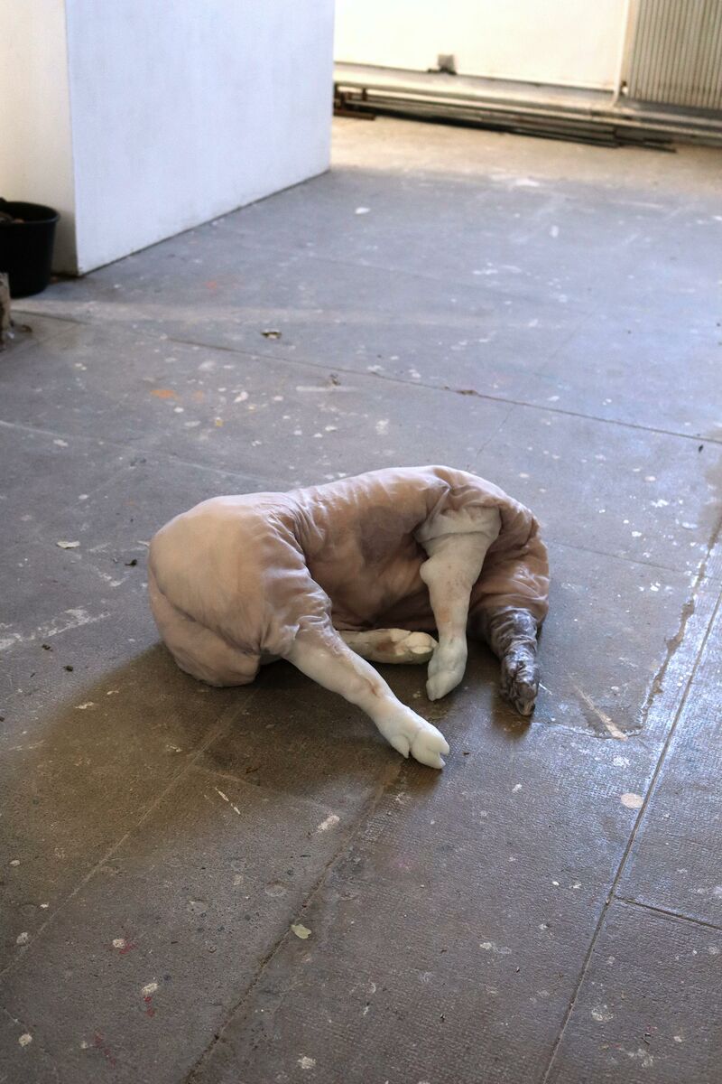 appauvri - a Sculpture & Installation by Kang Hyungee heengee