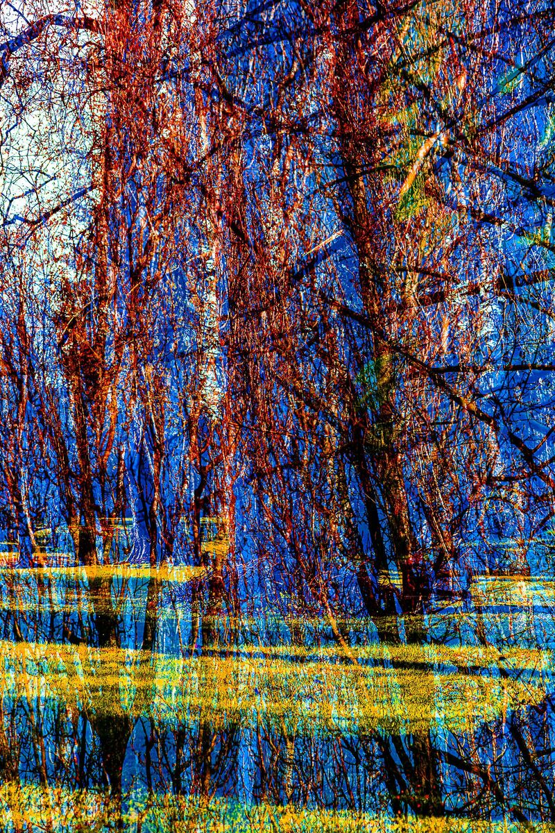The extraordinary garden (5) / the red branches - a Photographic Art by NEUFCOUR Jean-Charles