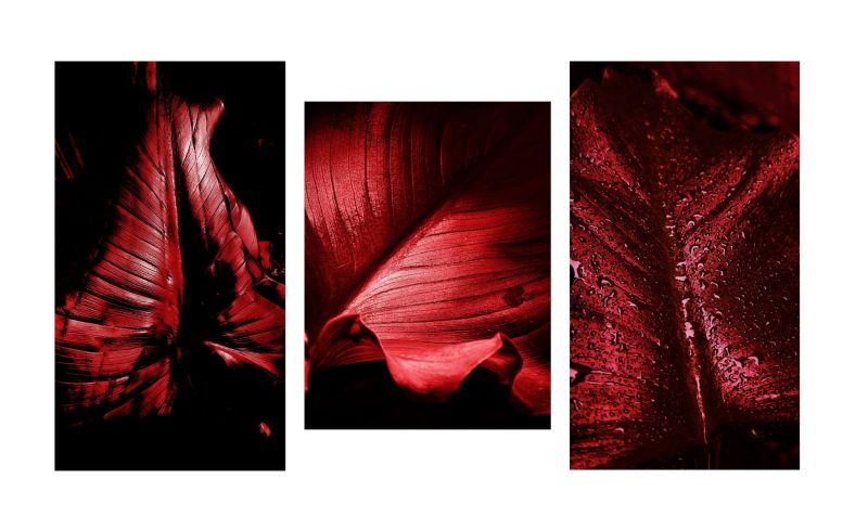  RED OXYGEN “EXPRESSION” Trittico : 50X88 FOTO LATERALI, 42X56 FOTO CENTRALE - a Photographic Art by Sara Franci Visual Artist