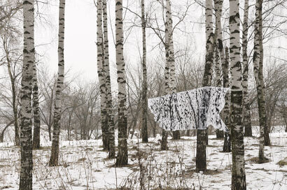 Birch trees woods - a Photographic Art Artowrk by Gaspar Acebo