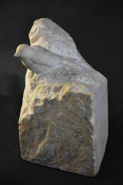 BIANCA CAPINERA - a Sculpture & Installation Artowrk by Emanuele Ghiotti