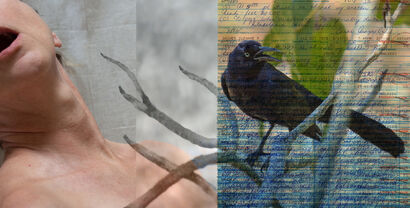 Amnesia - a Photographic Art Artowrk by Suzanne Gainer