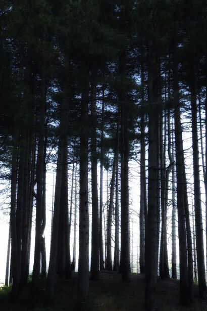 Between - a Photographic Art Artowrk by Sofiia Zakharchuk