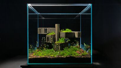 Habitat n.3 - a Sculpture & Installation Artowrk by Mondobruto