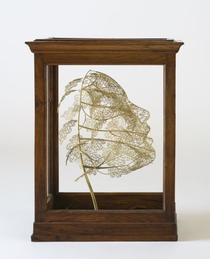 Foglie sussurranti - a Sculpture & Installation Artwork by Stefano BONZANO