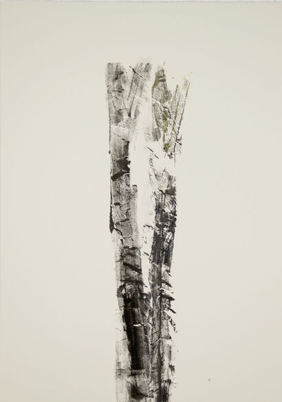 Il bosco non fa paura - A Paint Artwork by amina pedrinolla