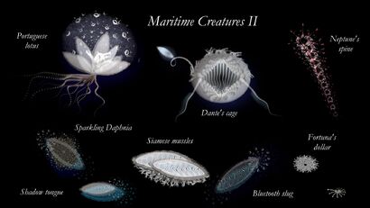 ACTING MATTER - maritime creatures II - a Video Art Artowrk by Christina Hellmerich