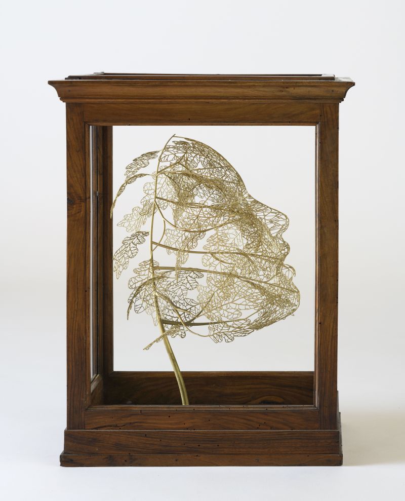 Foglie sussurranti - a Sculpture & Installation by Stefano BONZANO