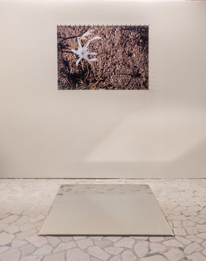 For when sand turned to glass - a Photographic Art Artowrk by Photography