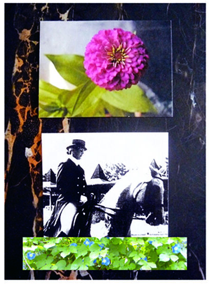 At Devon with Zinni + Morning Glories - a Photographic Art Artowrk by MAL