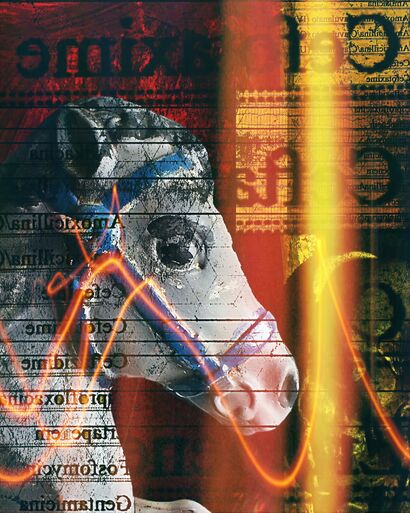 Loose Horse 015 - a Photographic Art Artowrk by JW Andrew