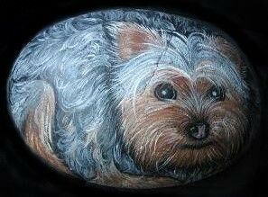 Rock Art - Shih Tzu - a Paintings by Lisa Podlubny-Nadon