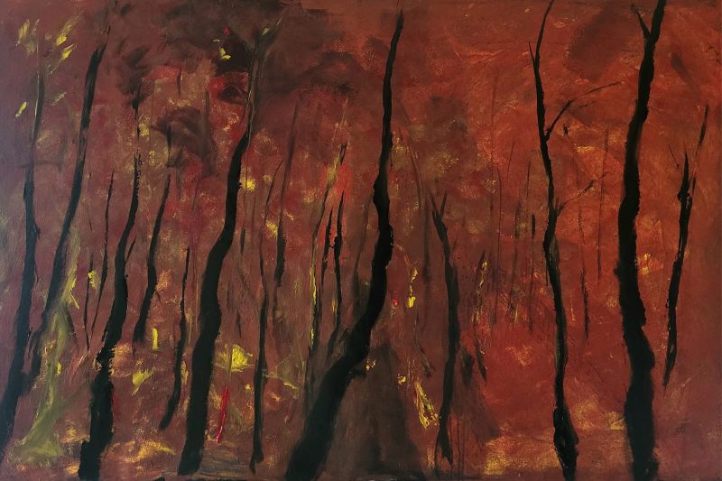 Bushfire - a Paintings by Angelo Calcagno