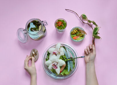 Delusional Parasitosis series - Fresh Food - a Photographic Art Artowrk by Cristina Burns