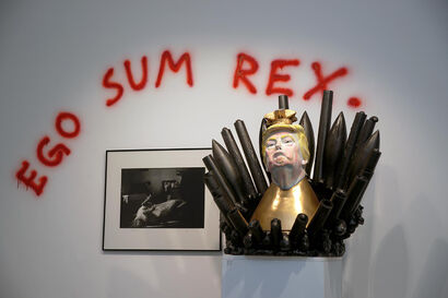 EGO SUM REX. - A Sculpture & Installation Artwork by Metod Frlic