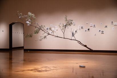待樹 (Tai-ju): Patience of a Broken Pine - a Sculpture & Installation Artowrk by Susanna Tan