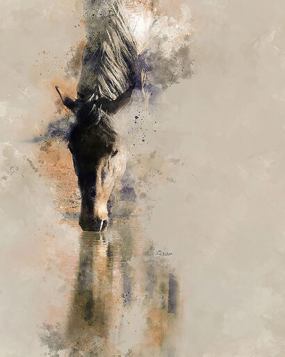 Horse\'s Reflective Hues - a Photographic Art Artowrk by David W Schafer