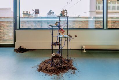 Regenerating - a Sculpture & Installation Artowrk by Telle Yang