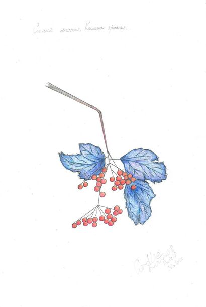 Blue leaves. Red viburnum  - A Paint Artwork by Ksenia  Mozhaitseva 