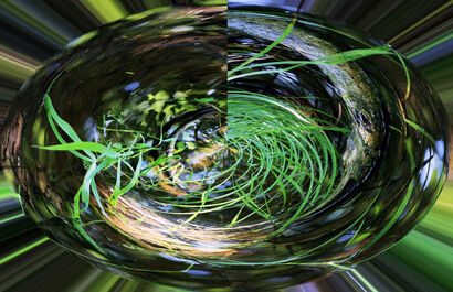 Wild Herbes 02 - a Photographic Art Artowrk by Daisy Wilford