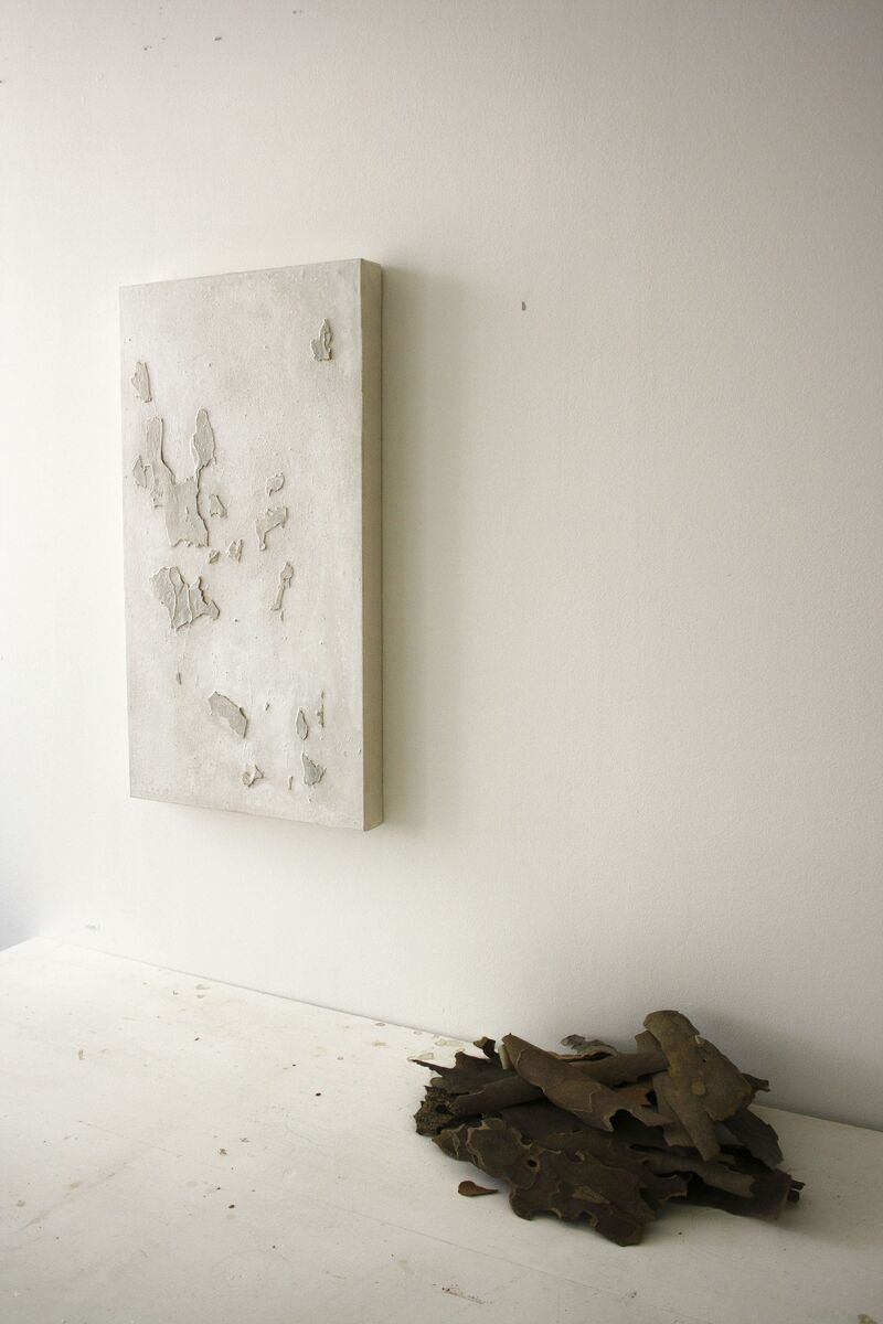White//barks - a Paint by Samantha Passaniti