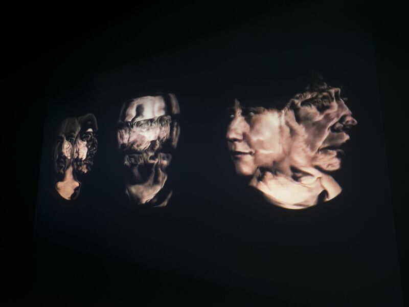 Multiplicity - a Video Art by Rogue Simian