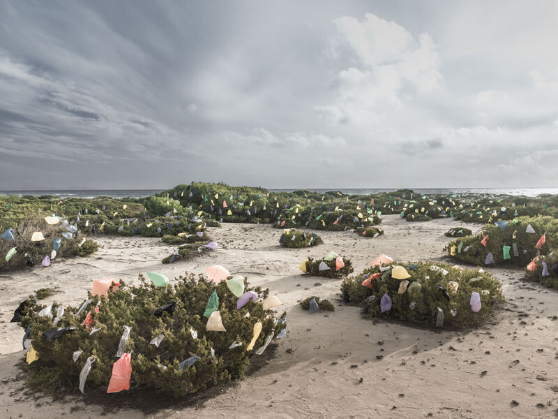 Plaste Army: Invasion Dune - a Photographic Art by Dirk Krüll