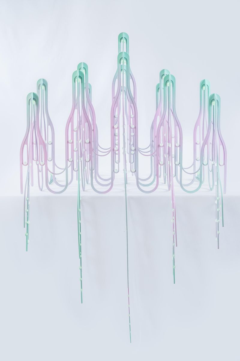 Specimen 005_Lacebud - a Sculpture & Installation by Pamela Poh Sin Tan
