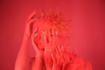 Red Coral - a Photographic Art Artowrk by Birgit Mörtl