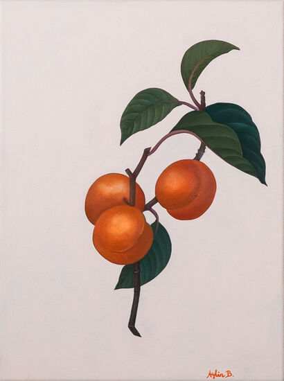 Apricot With Branch - a Paint Artowrk by Aylin  Bönneken 