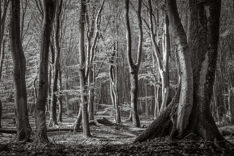the entrance - a Photographic Art by Kepano