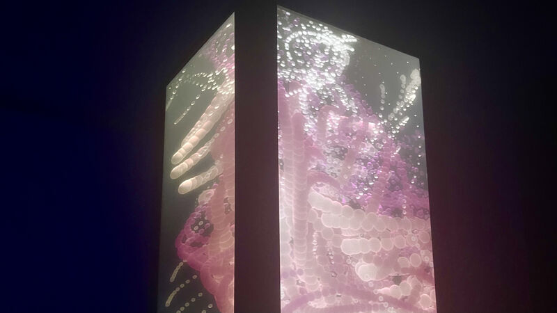Holographic Glass-free 3D display & interaction installation - 'In Reality' - a Digital Art by REGEN