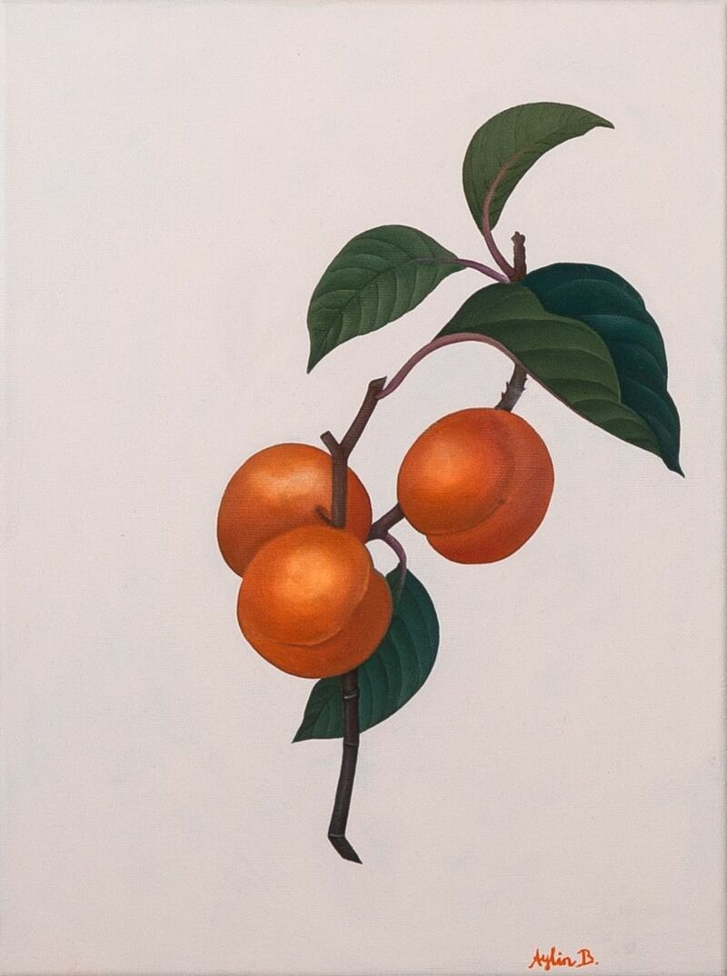 Apricot With Branch - a Paint by Aylin  Bönneken 
