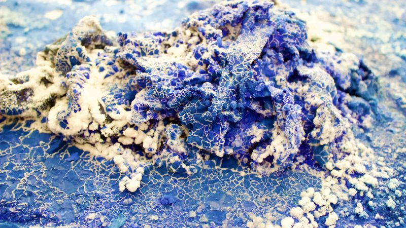Blu almond - a Land Art by Alessandra Maoggi /Russell Giacosa
