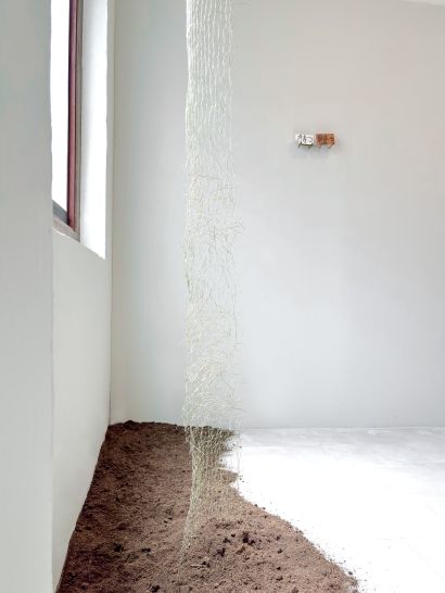 待樹 (Tai-ju): Phantom Pine - a Sculpture & Installation Artwork by Susanna Tan