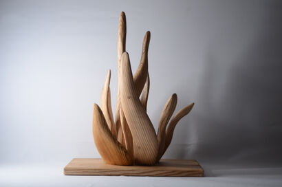 anemone - a Sculpture & Installation Artowrk by wose