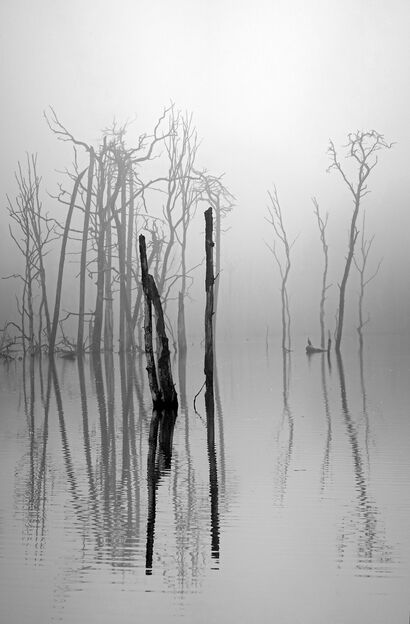  2. Magische Momente – Pfingstsee II, entstanden durch Bergwerkschäden,  Deutschland - a Photographic Art Artowrk by Angelika Schilling