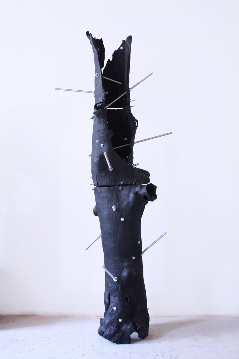 Alterazioni - a Sculpture & Installation by Andrea Rinaudo