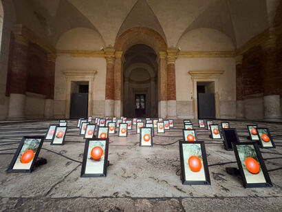 LIBERA - a Sculpture & Installation Artowrk by MONICA MARIONI
