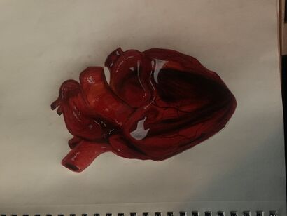 anatomic heart  - a Paint Artowrk by Evany  Ramirez
