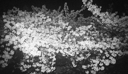 here - a Photographic Art Artowrk by masahiro kanamori