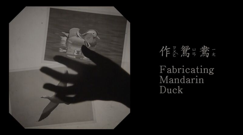 Fabricating Mandarin Duck - a Video Art by Chih-Chung Chang