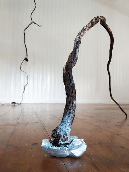 Roots - a Sculpture & Installation Artowrk by Deborah Graziano